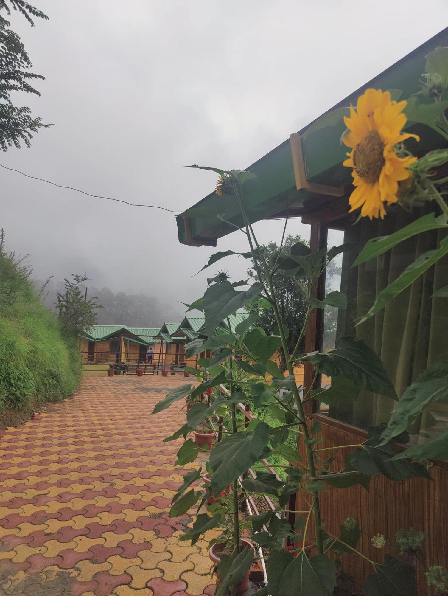 Laserene The Resort