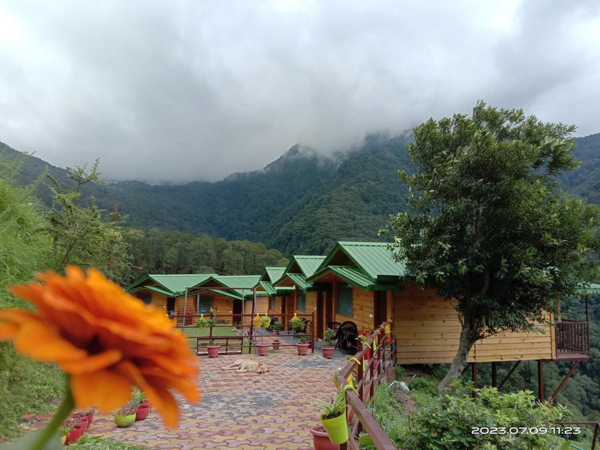 Laserene The Resort